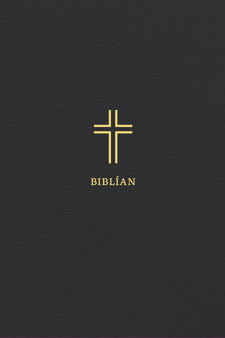 Icelandic Bible 8673 Icelandic Bible 8673