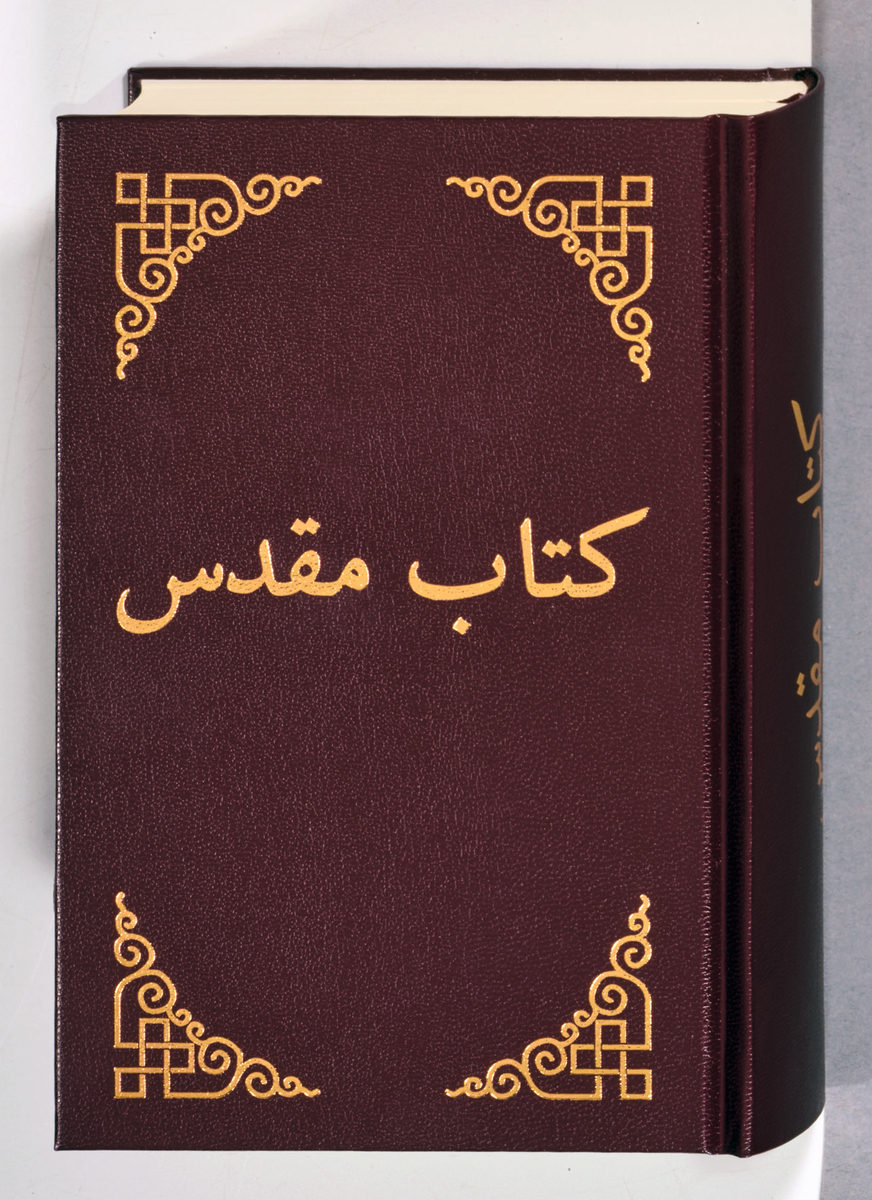 Dari  8104 Dari  8104