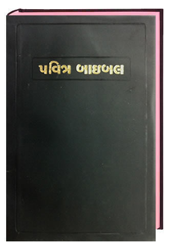 Gujarati - Old Version 8666