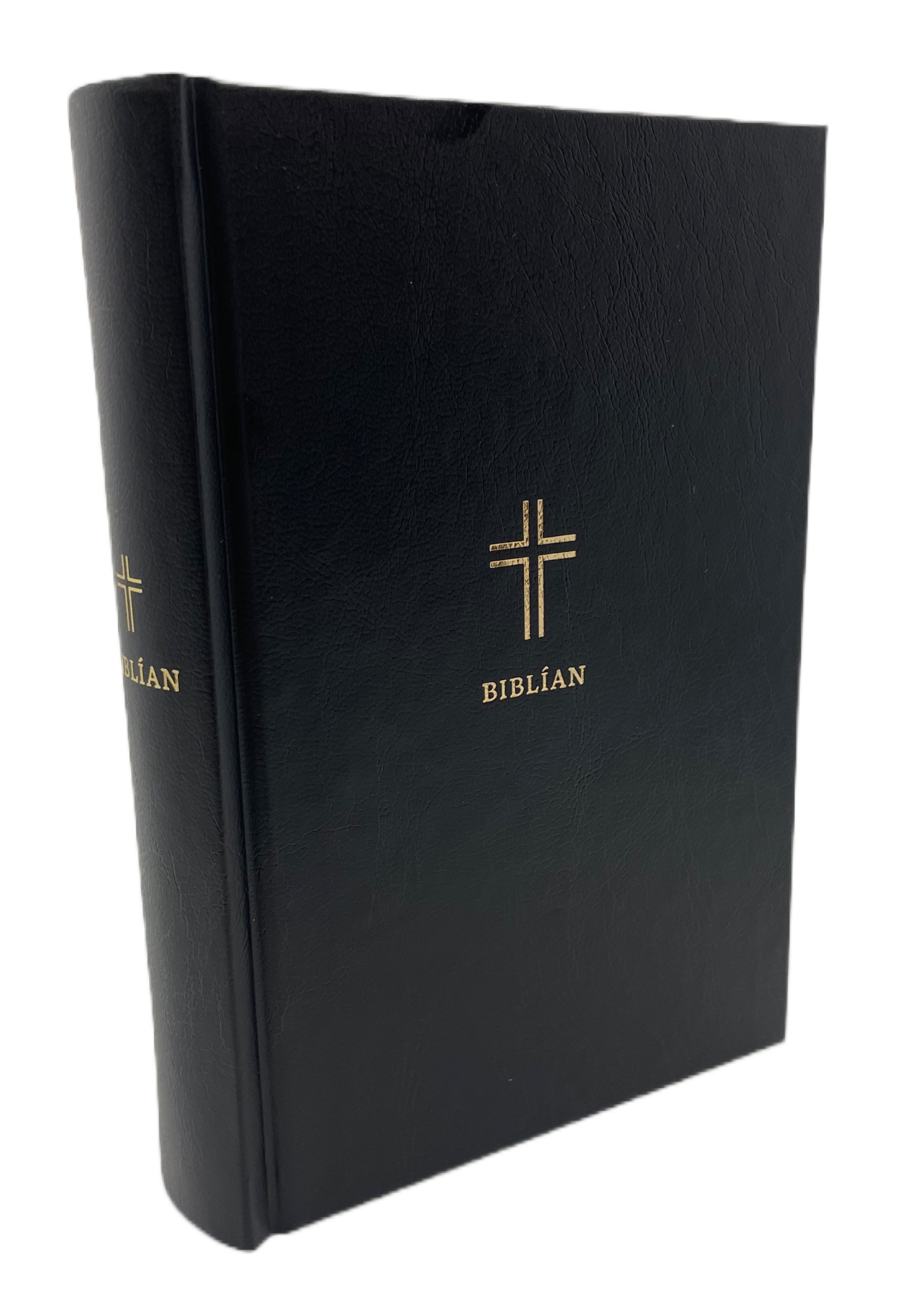 Icelandic Bible 8673