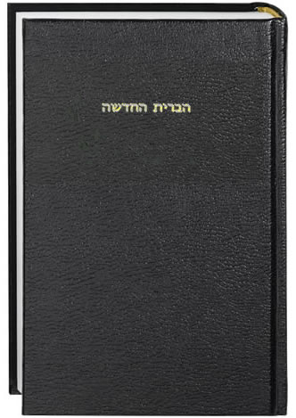 Hebrew (Ivrit) 8286