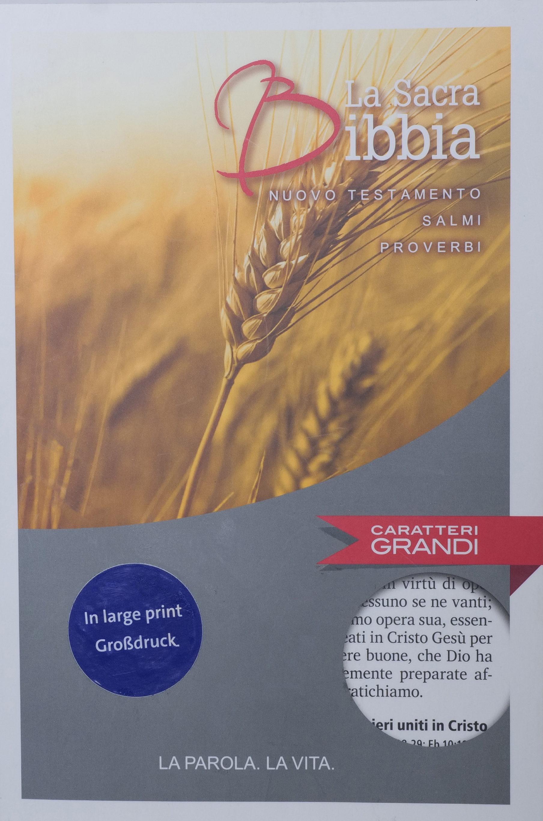 Italian - Nuova Riveduta 8250 Italian - Nuova Riveduta 8250