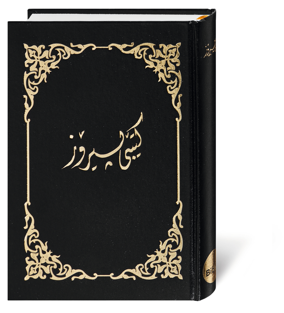 Kurdish (Sorani)  8319 Kurdish (Sorani)  8319