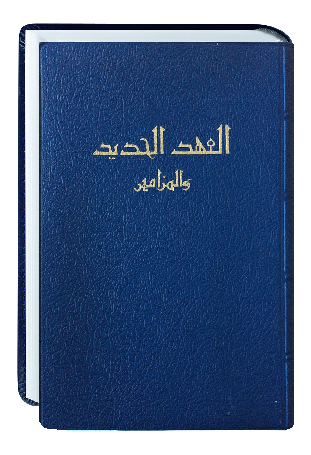 Arabic - Van Dyke 8281